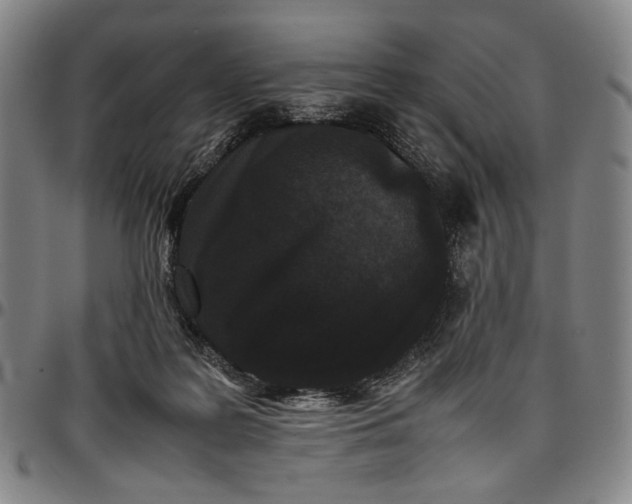 X0000096670219200802191337