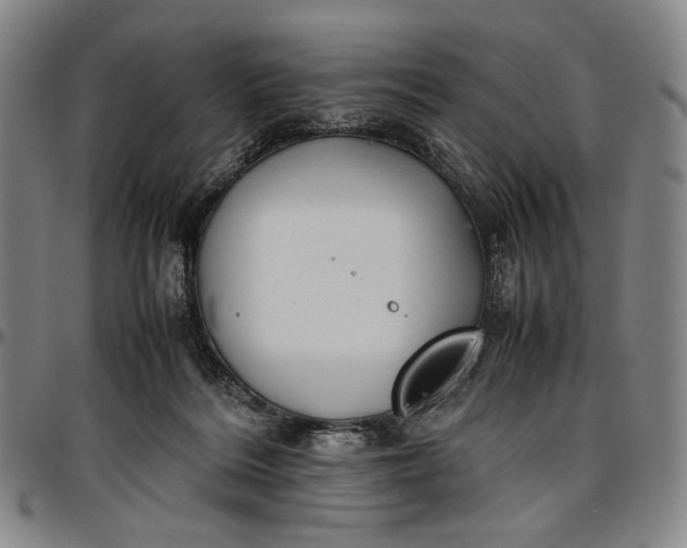 X0000096670220200802191337
