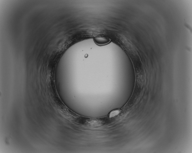 X0000096670221200802191337