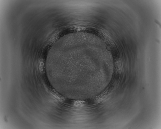 X0000096670222200802191337