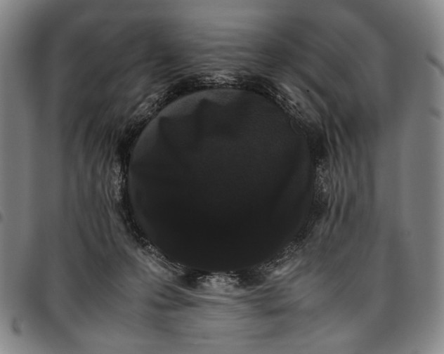 X0000096670223200802191336