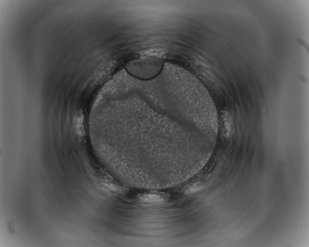 X0000096670224200802191336