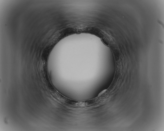 X0000096670225200802191336