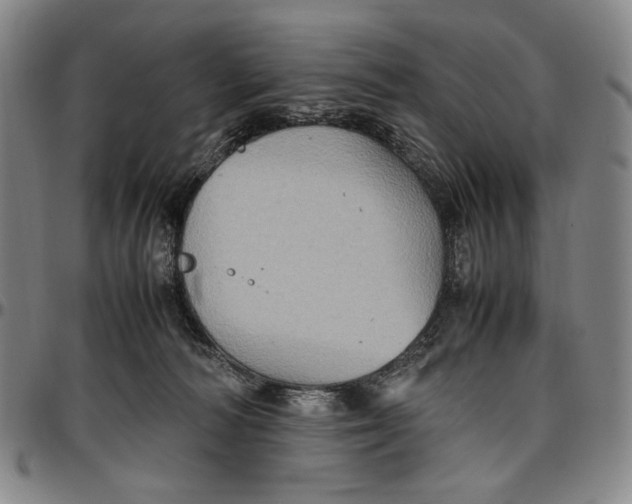 X0000096670226200802191336