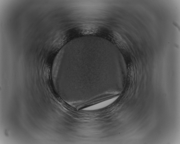 X0000096670227200802191336