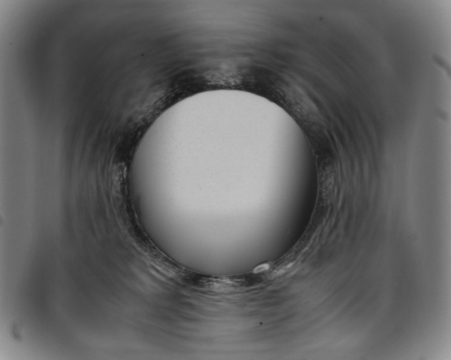 X0000096670229200802191336