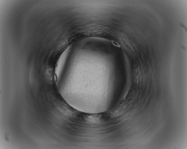 X0000096670232200802191336
