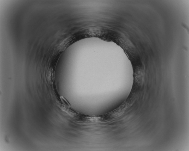 X0000096670233200802191336