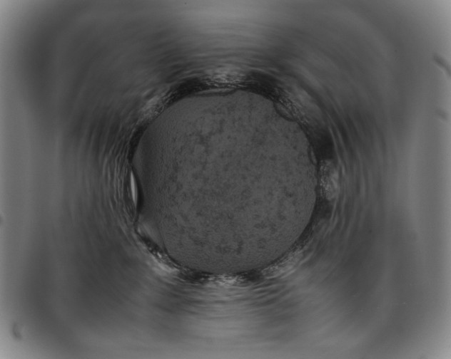 X0000096670235200802191336