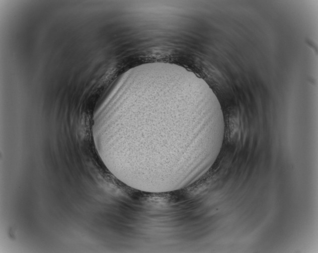 X0000096670236200802191336