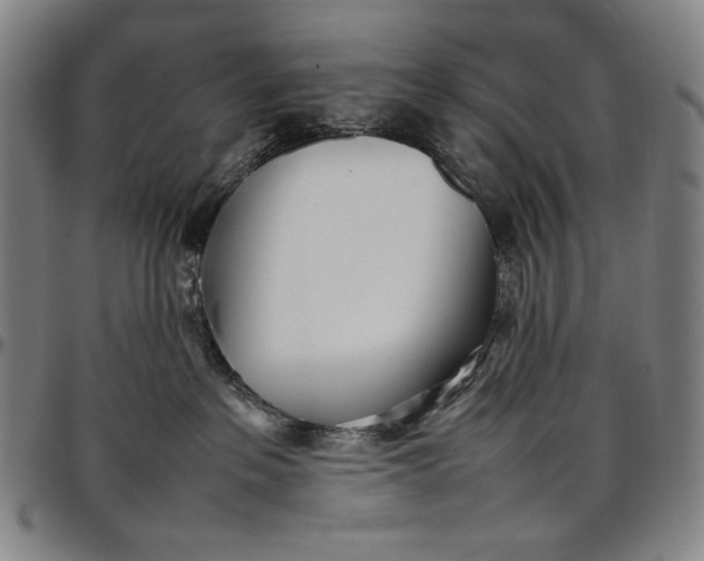 X0000096670237200802191336