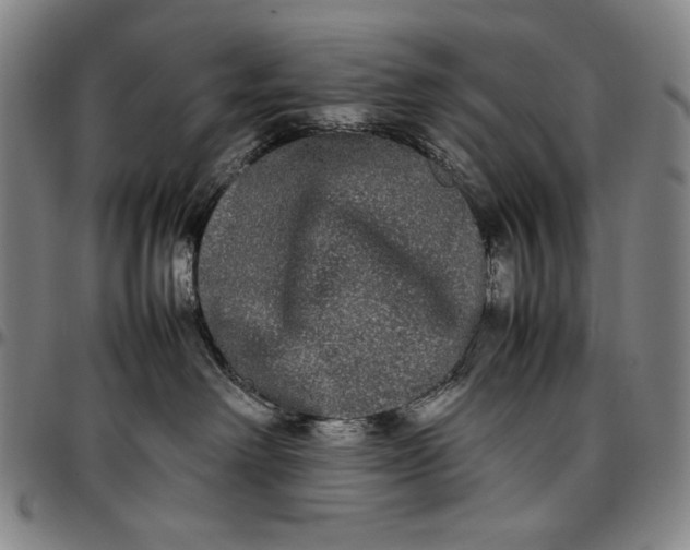 X0000096670238200802191336