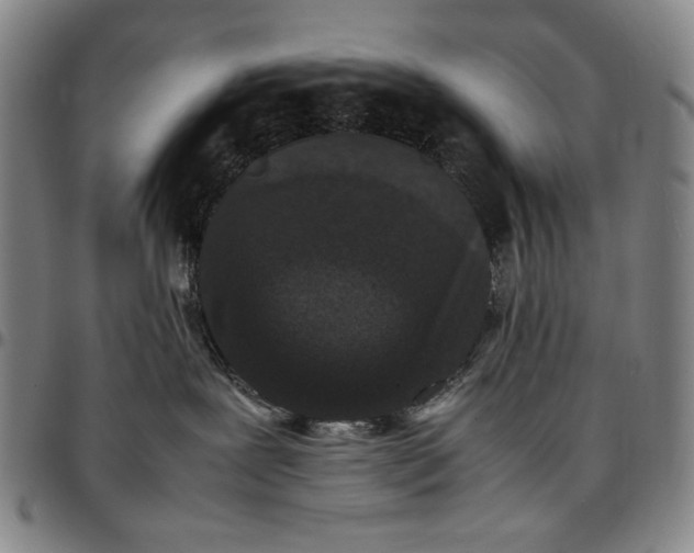 X0000096670239200802191336