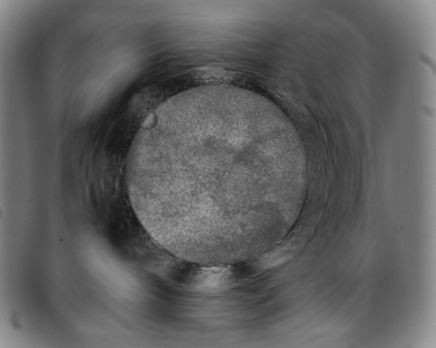 X0000096670240200802191336