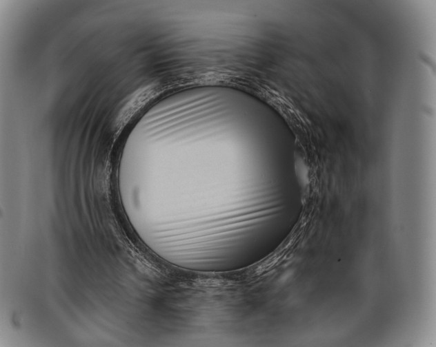 X0000096670242200802191336