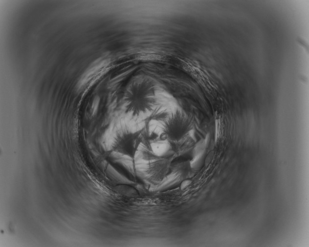 X0000096670243200802191336