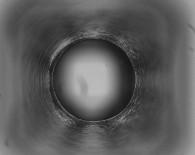 X0000096670244200802191336