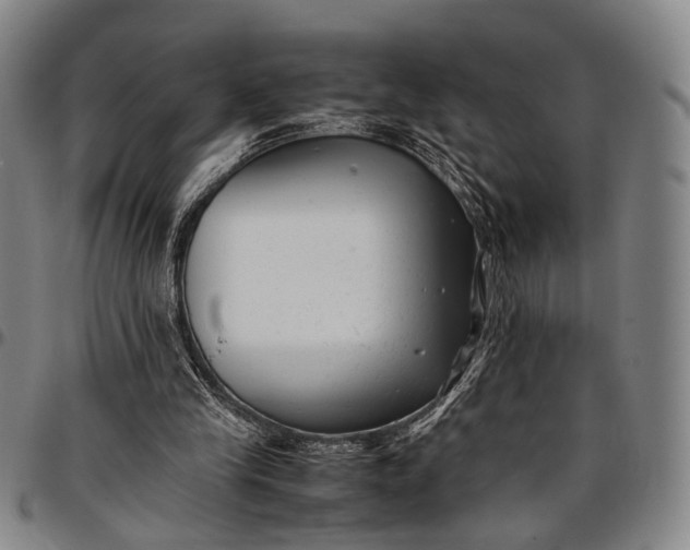 X0000096670245200802191336