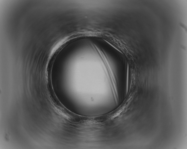 X0000096670246200802191336
