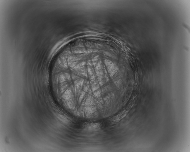 X0000096670247200802191336