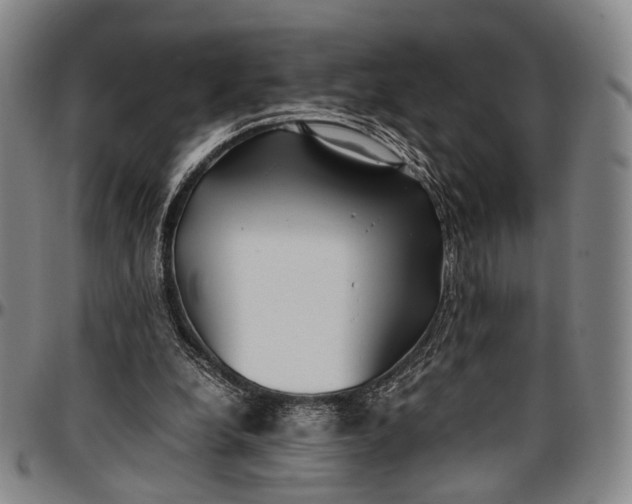 X0000096670248200802191336