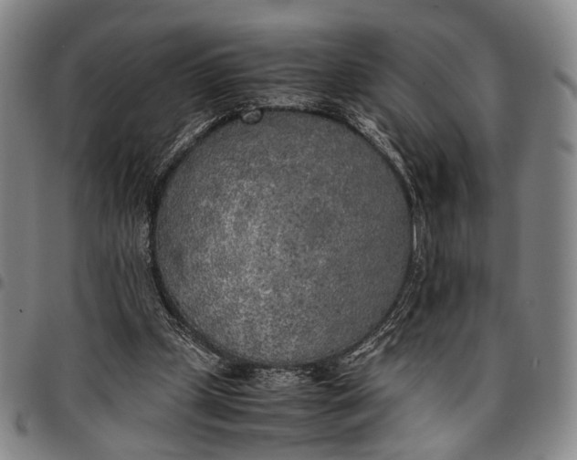 X0000096670249200802191336