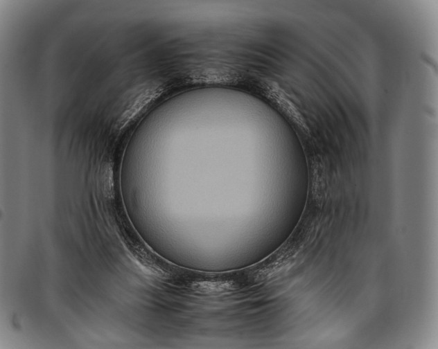 X0000096670251200802191336