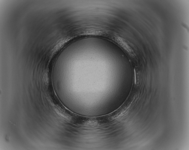 X0000096670252200802191336