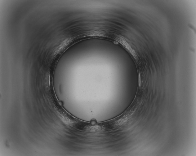 X0000096670253200802191336