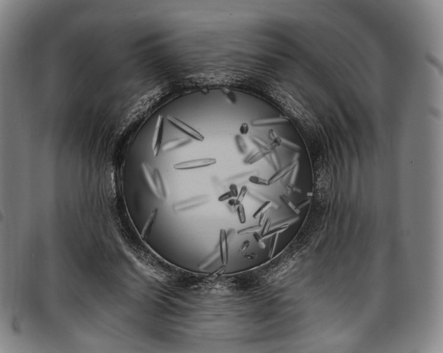 X0000096670254200802191336