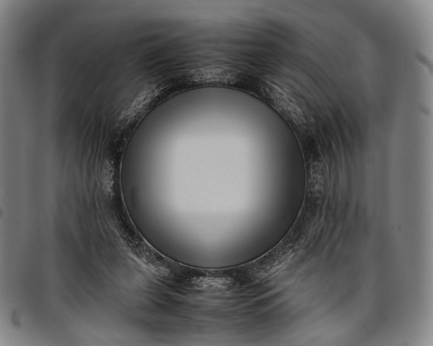 X0000096670255200802191336