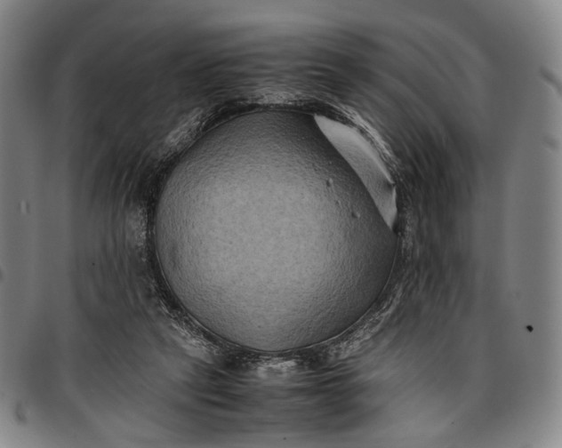 X0000096670257200802191336