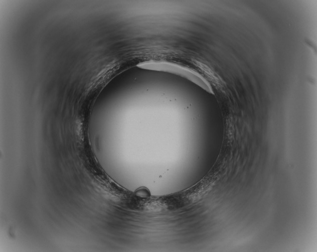 X0000096670258200802191336