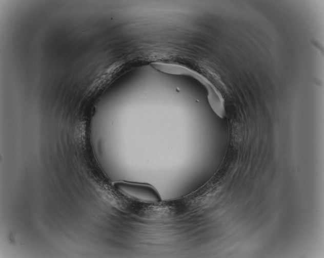 X0000096670260200802191336