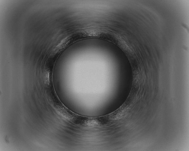 X0000096670262200802191336