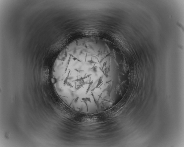 X0000096670263200802191336