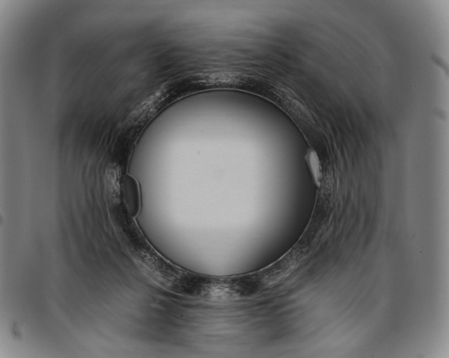 X0000096670264200802191336