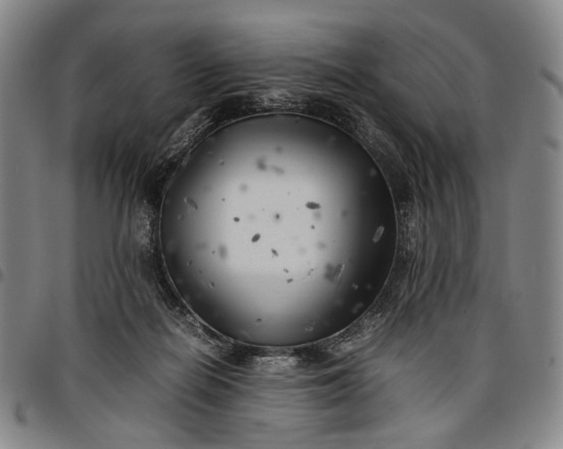 X0000096670266200802191336