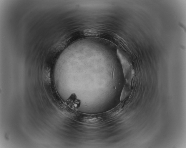 X0000096670267200802191336