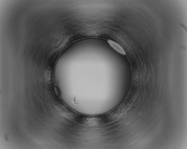 X0000096670268200802191336