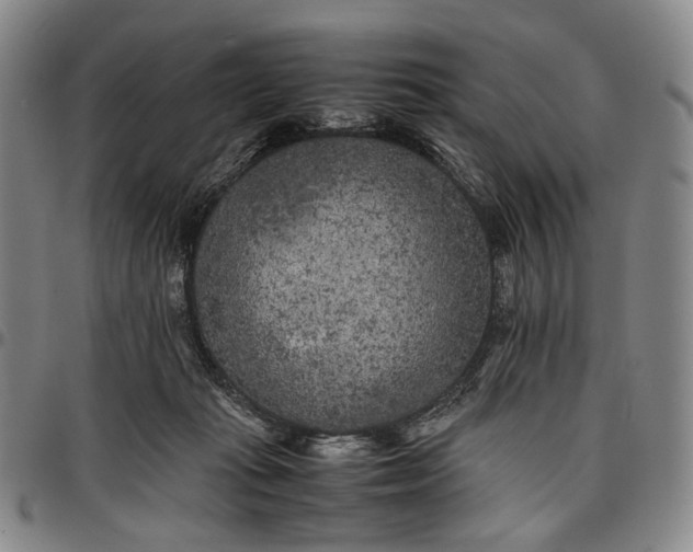 X0000096670269200802191336