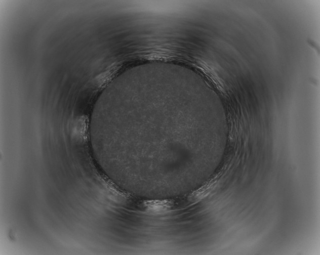 X0000096670273200802191336