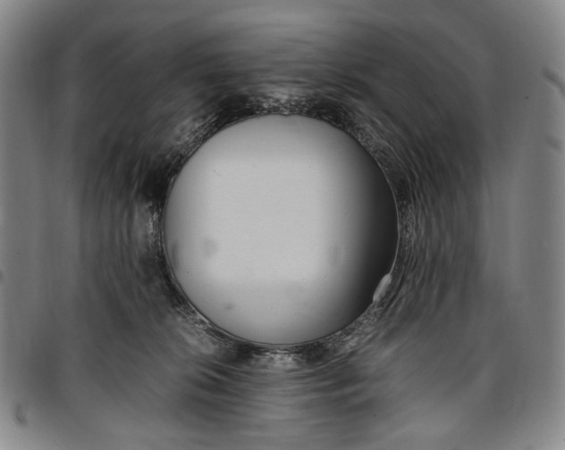 X0000096670276200802191336