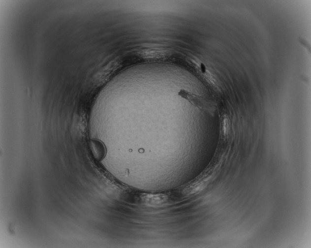 X0000096670277200802191336