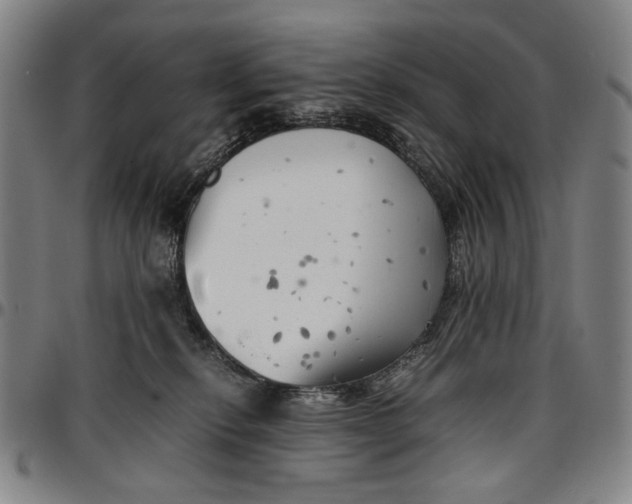 X0000096670278200802191336