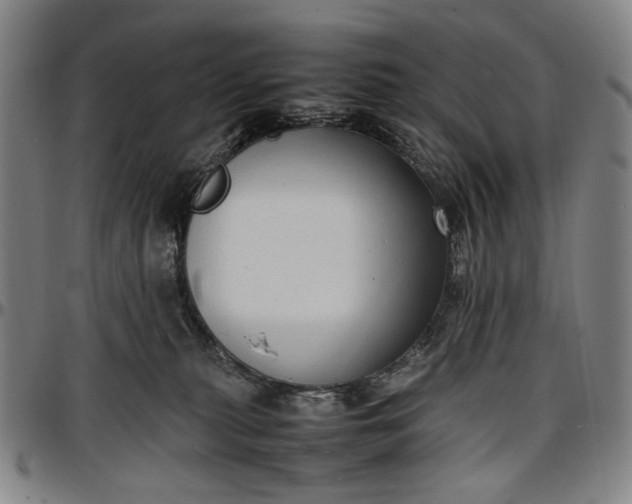 X0000096670279200802191336