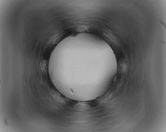 X0000096670280200802191336