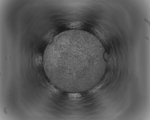 X0000096670281200802191336