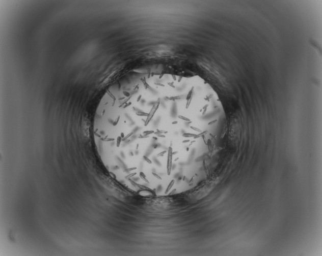 X0000096670282200802191336
