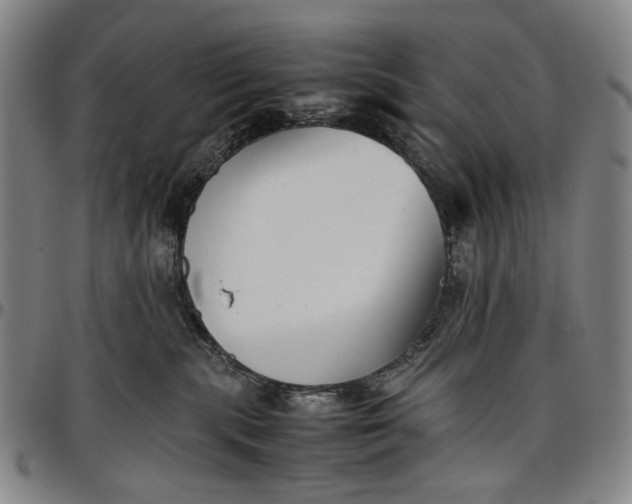 X0000096670283200802191336